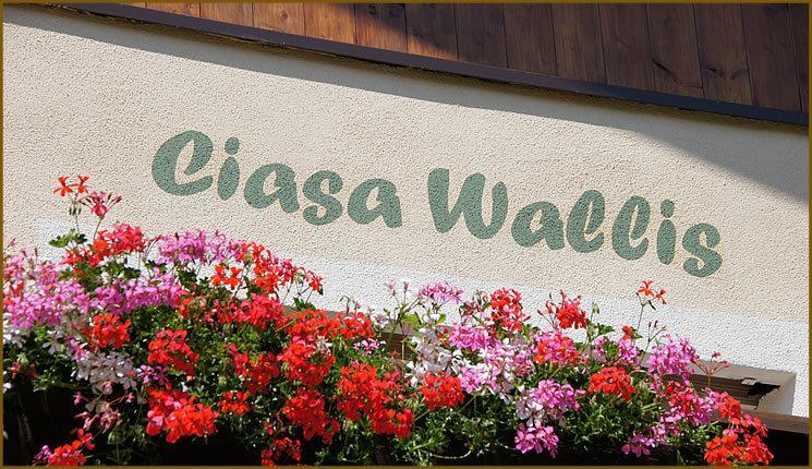 Ciasa Wallis Badia  Extérieur photo